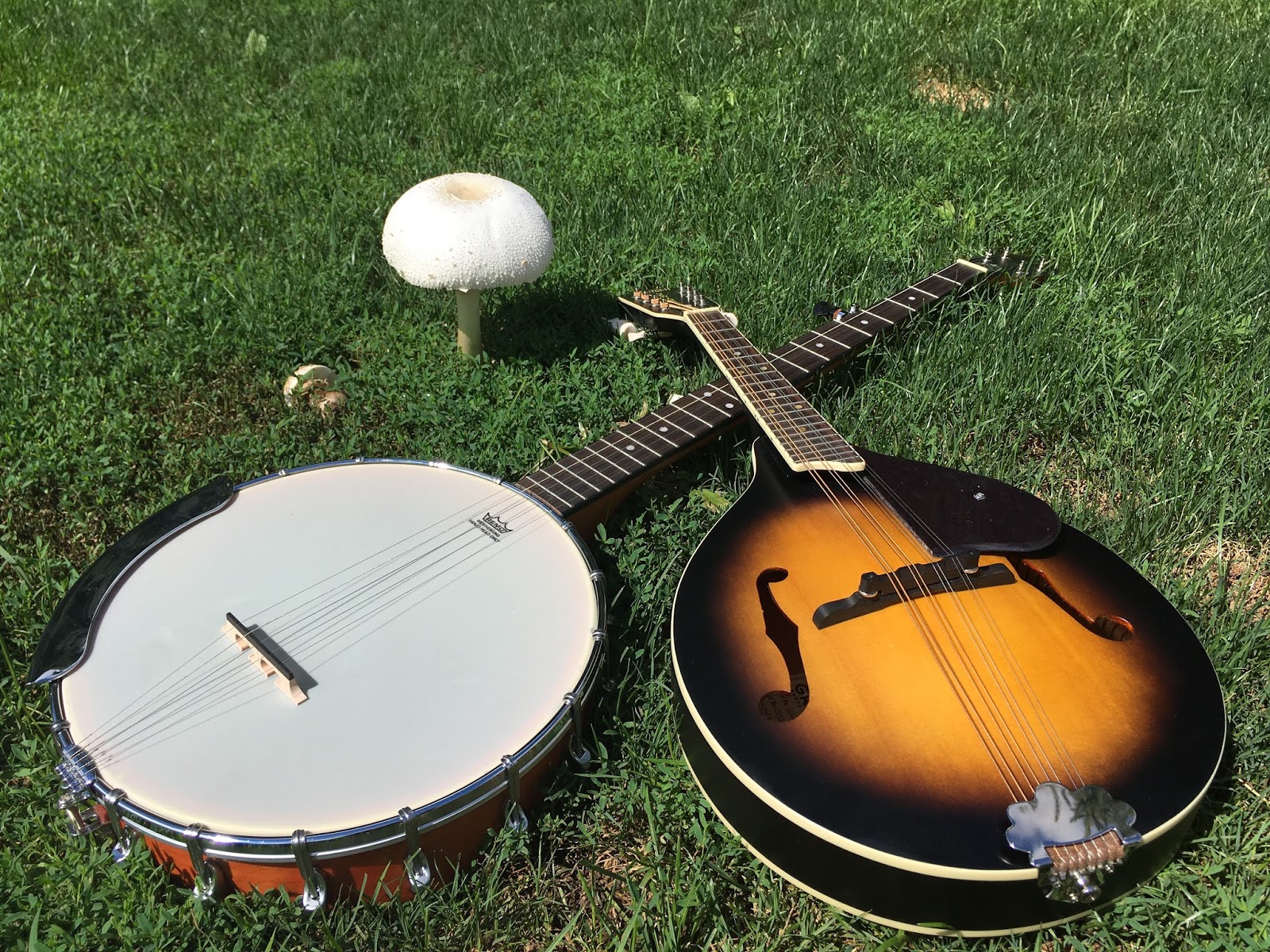 Banjo & Mandolin