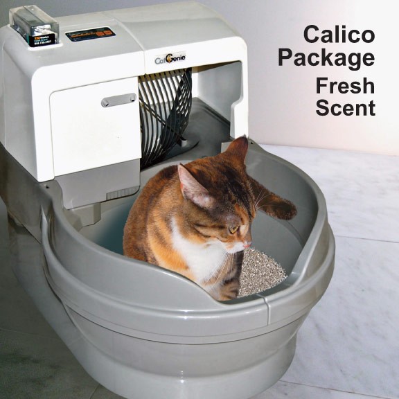 The MSadventures of Ms. CrankyPants Toilet Training (Cat Edition)