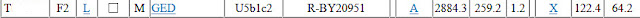 match at GEDmatch match at GEDmatch