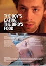 Boy Eating The Bird's Food