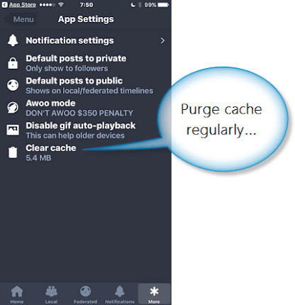 App cache setting.