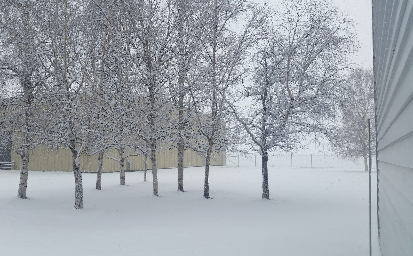 First day of Snowfall in Fairbanks, Alaska at least 5 inches