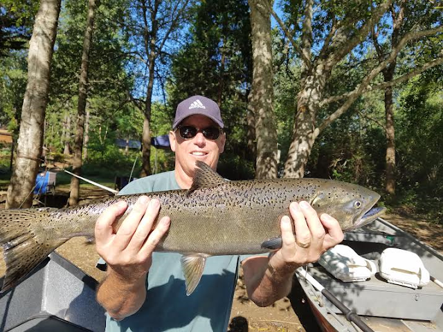 Rogue River, Umpqua River, Chetco River, Coquille River, Kenai River, Kasilof River, Pacific Ocean, Oregon, Oregon Coast, Oregon Salmon Fishing, California Salmon, Fishing, Fishing Guide, Oregon Fishing Guide, Steelhead Fishing, Oregon Steelhead, Rogue River Sport Fishing, Fishing Adventure, Fly fishing oregon, travel oregon, Guide service in oregon, Fishing charter, drift boat, Elk River, Sixes River, Chrome Steelhead, Springers, Chinook Salmon, King Salmon, Coho Salmon, Silver Salmon, Rogue Bay, Coos Bay, 101 Hwy, Crater Lake, Medford OR, Brookings OR, Gold Beach OR, Shady Cove OR, Roseburg OR, Port Orford OR, Travel Oregon, West Coast Salmon, Rogue River Fishing, Fishing on the Rogue, Oregon Rogue River, Fishing the Chetco, Vacation in Oregon, Visit Oregon, River Fishing, Oregon Steelhead Guides, Oregon Salmon Fishing, Pro-Cure, Pautzke, YBC, Phil Tripp, Phil Tripp's Guide Service, Rogue River Sport Fishing, 2010, 2011, 2012, 2013, 2014, 2015, 2016, 2017,2018, Rogue River Canyon, Willie Boats, Central Point OR, Wild River Boat & Trailer, Eat Fish, Catching Fish, Rogue River, Umpqua River, Chetco River, Coquille River, Kenai River, Kasilof River, Pacific Ocean, Oregon, Oregon Coast, Oregon Salmon Fishing, California Salmon, Fishing, Fishing Guide, Oregon Fishing Guide, Steelhead Fishing, Oregon Steelhead, Rogue River Sport Fishing, Fishing Adventure, Fly fishing oregon, travel oregon, Guide service in oregon, Fishing charter, drift boat, Elk River, Sixes River, Chrome Steelhead, Springers, Chinook Salmon, King Salmon, Coho Salmon, Silver Salmon, Rogue Bay, Coos Bay, 101 Hwy, Crater Lake, Medford OR, Brookings OR, Gold Beach OR, Shady Cove OR, Roseburg OR, Port Orford OR, Travel Oregon, West Coast Salmon, Rogue River Fishing, Fishing on the Rogue, Oregon Rogue River, Fishing the Chetco, Vacation in Oregon, Visit Oregon, River Fishing, Oregon Steelhead Guides, Oregon Salmon Fishing, Pro-Cure, Pautzke, YBC, Phil Tripp, Phil Tripp's Guide Service, Rogue River Sport Fishing, 2010, 2011, 2012, 2013, 2014, 2015, 2016, 2017,2018, Rogue River Canyon, Willie Boats, Central Point OR, Wild River Boat & Trailer, Eat Fish, Catching Fish,