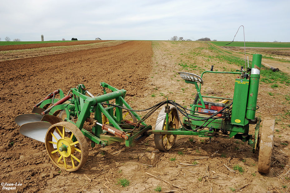 Percheron International Labour Amish