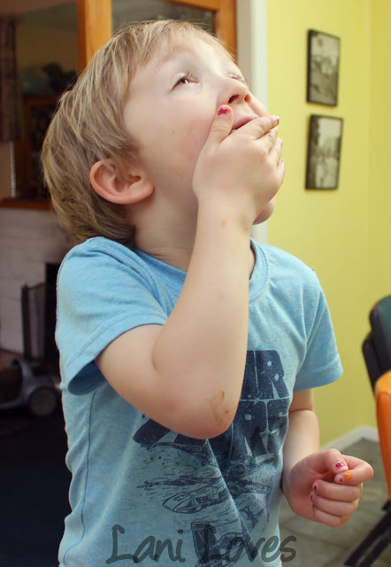 Mum's Chocolate Chip Cookies with Chelsea Raw Sugar