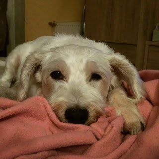 Margoterapia - Aromaterapia energetyczna