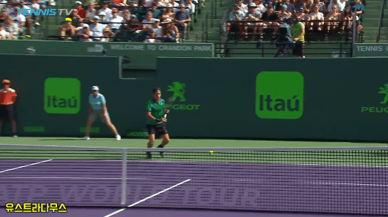 페더러 드롭샷 레전드.gif | 인스티즈