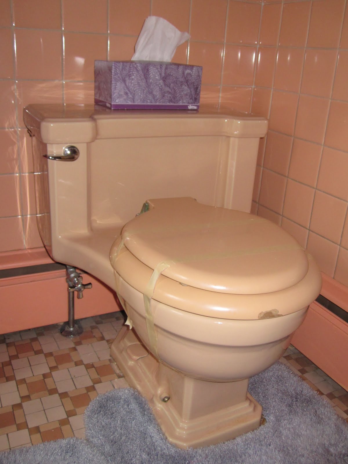 Life of the Lorenzens The peach potty saga