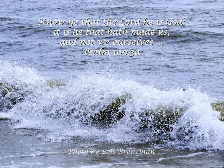 Ocean - Psalm 100:3