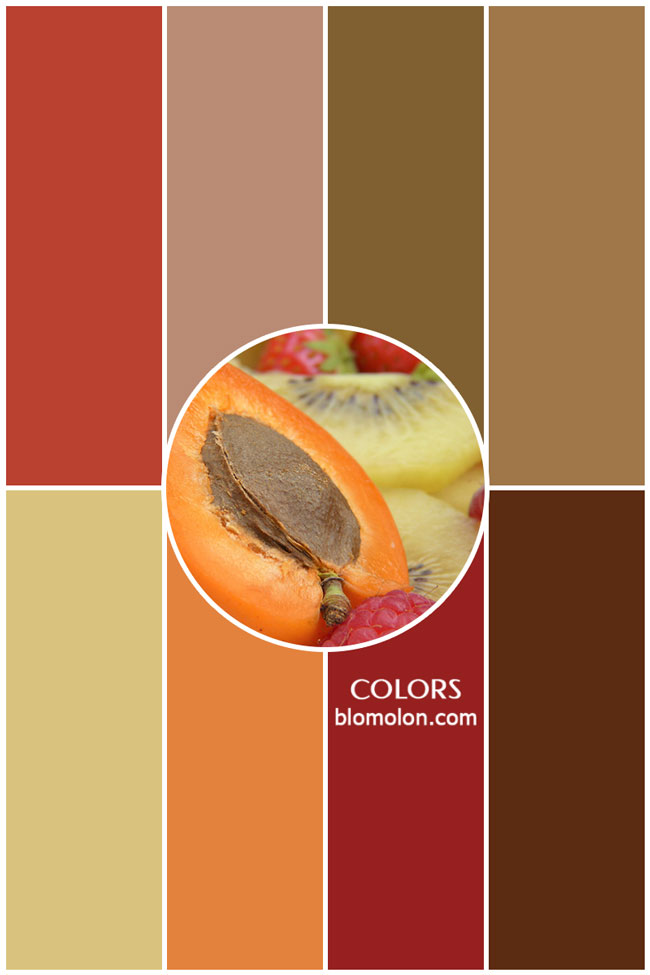variedad en color color 2 variedad_en_color_colors_2