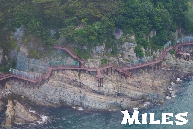 【釜山旅遊】松島海上纜車「釜山AIR CRUISE」@從86公尺高空俯瞰松島和岩南公園!
