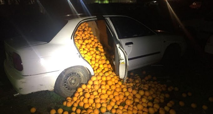 POLÍCIA PARA CARROS ABARROTADOS DE LARANJAS NA ESPANHA