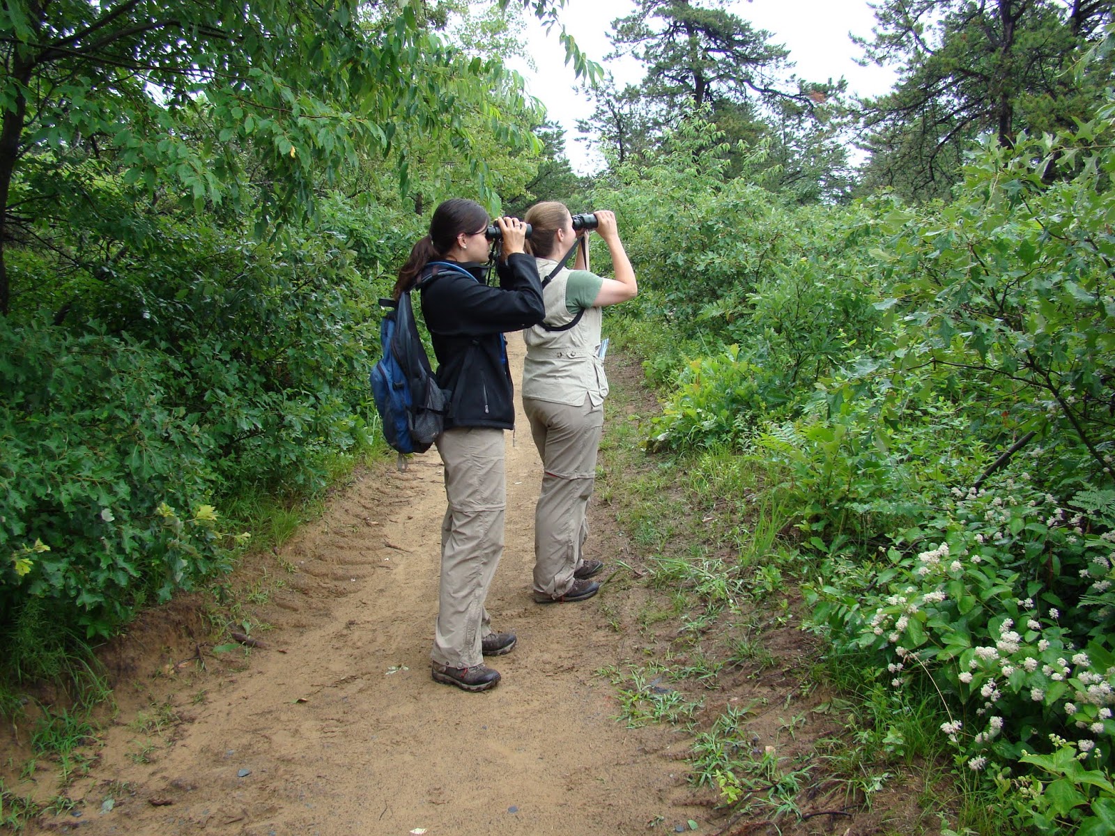 Homework help hotline image