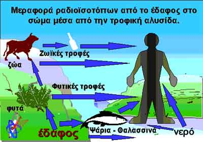 Τελικά δεν μας ψεκάζουν στην τροφική αλυσίδα είναι! 5 Fzncgvjbkl