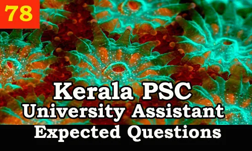 Kerala PSC : Expected Question for University Assistant Exam - 78