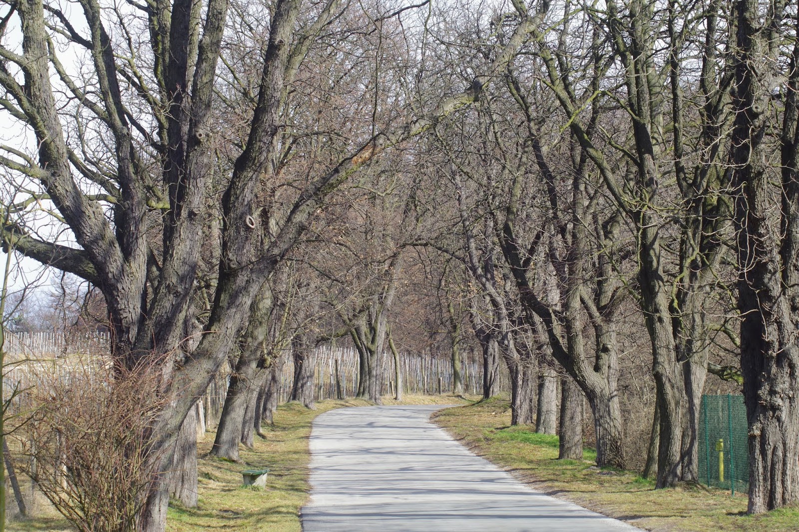 Bielany przelotniepobieżnieprzejściowo