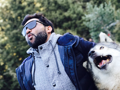 wolf wolf