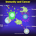 Pengaruh Fungsi Sistem Imun Tubuh Melawan Kanker