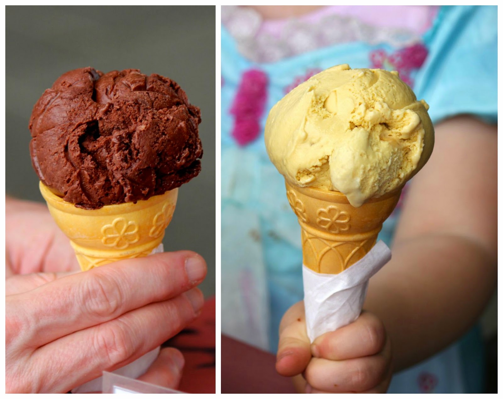 Green Gourmet Giraffe Port Fairy holiday, walks and eating out