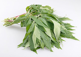 Daun Singkong 9 Manfaat Daun Singkong Untuk Kesehatan