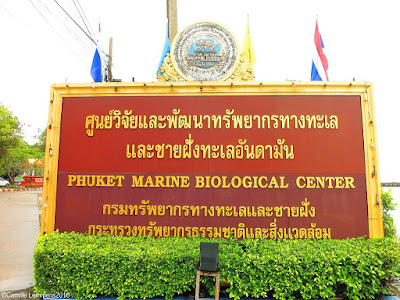 A visit to the Phuket Marine Biological Center (PMBC) in Panwa