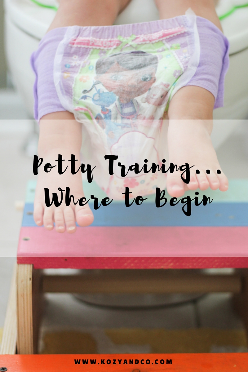kozy & co Potty Training... Where to Begin