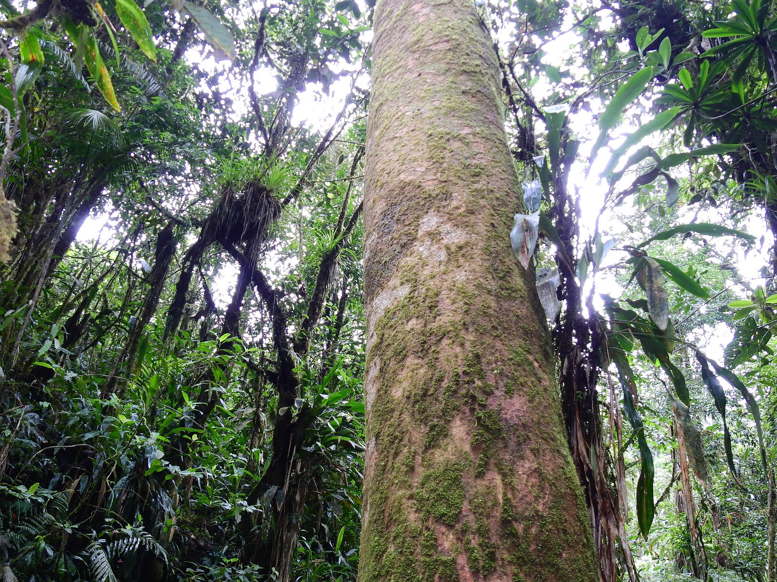 Explorar Putumayo es NATURALEZA