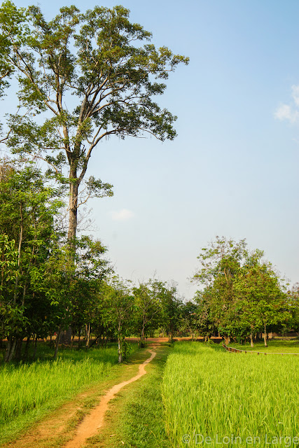 Banteay Srei - Cambodge
