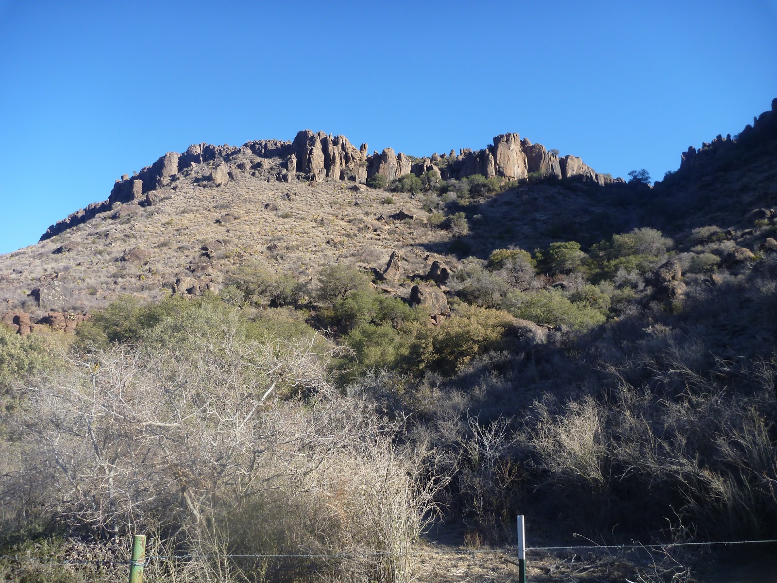 Pedal 4 Wildlife II Blog P4W2 Day 15 Davis Mtns State Park Sanderson, TX 113 miles