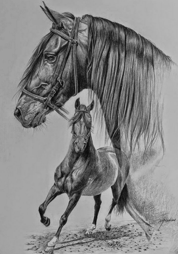 dibujos-dibujos-artisticos-de-caballos