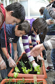 Progetto cavedio Scuola Media Muttoni Vicenza