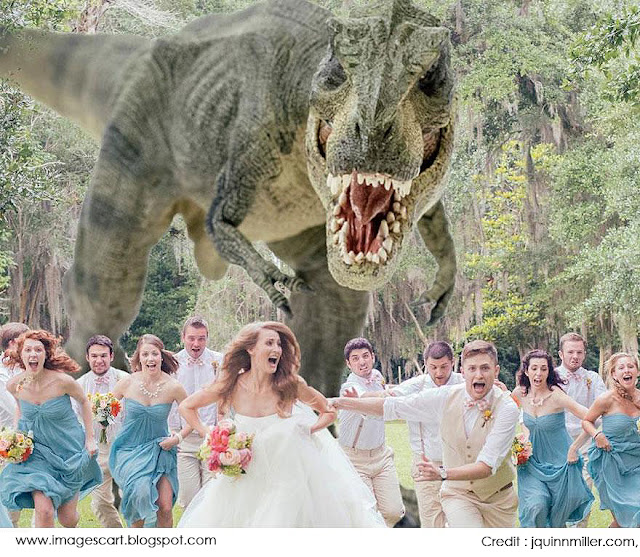 The worlds Amazing Wedding Theme and Best Photography in Katie Young and James Lowder's Wedding. Here you can see worlds best wedding theme. Worlds Greatest Wedding Photos, and worlds amazing and different wedding theme creation on their young wedding couple.