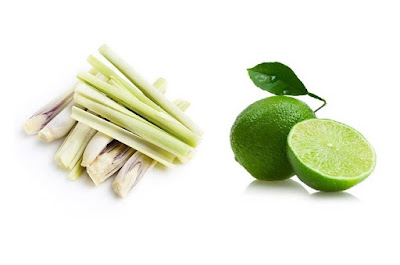 Cách trị mụn cám từ thiên nhiên hiệu quả với sả chanh