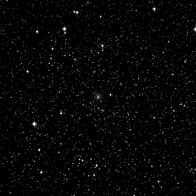 Comet64P/Swift-Gehrels seen here with a small tail. Imaged by Muir Evenden at 600 seconds, binning 2