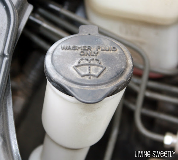Living Sweetly 1 Cent Washer Fluid!