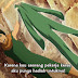 Download Boruto Episode 16 Subtitle Indonesia
