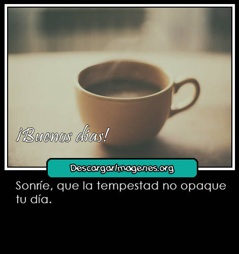 Encantadores mensajes buenos días.