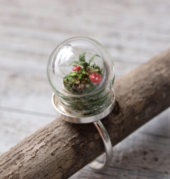 . me mine n m2mdoh . Mini Micro Terrariums Now you can pet your plants