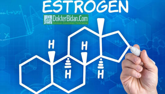 Estrogen Hormon Sintetis - Manfaat Indikasi Dosis Pemakaian dan Efek Samping Bagi Kesehatan Wanita Estrogen Hormon Sintetis - Manfaat Indikasi Dosis Pemakaian dan Efek Samping Bagi Kesehatan Wanita