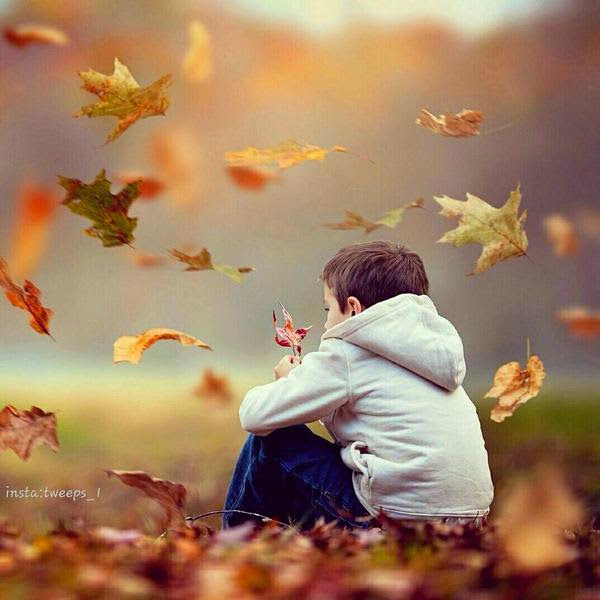 تحميل أجمل صور خلفيات سطح المكتب Hd روعة Free Desktop Wallpapers