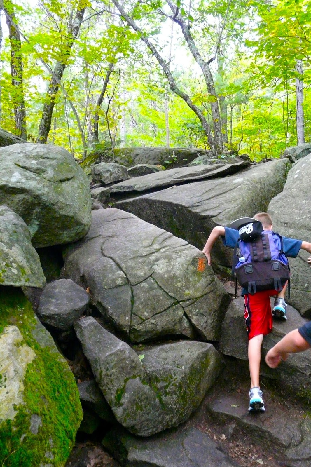 The Freelance Adventurer Mt. Major is a Major Treat!