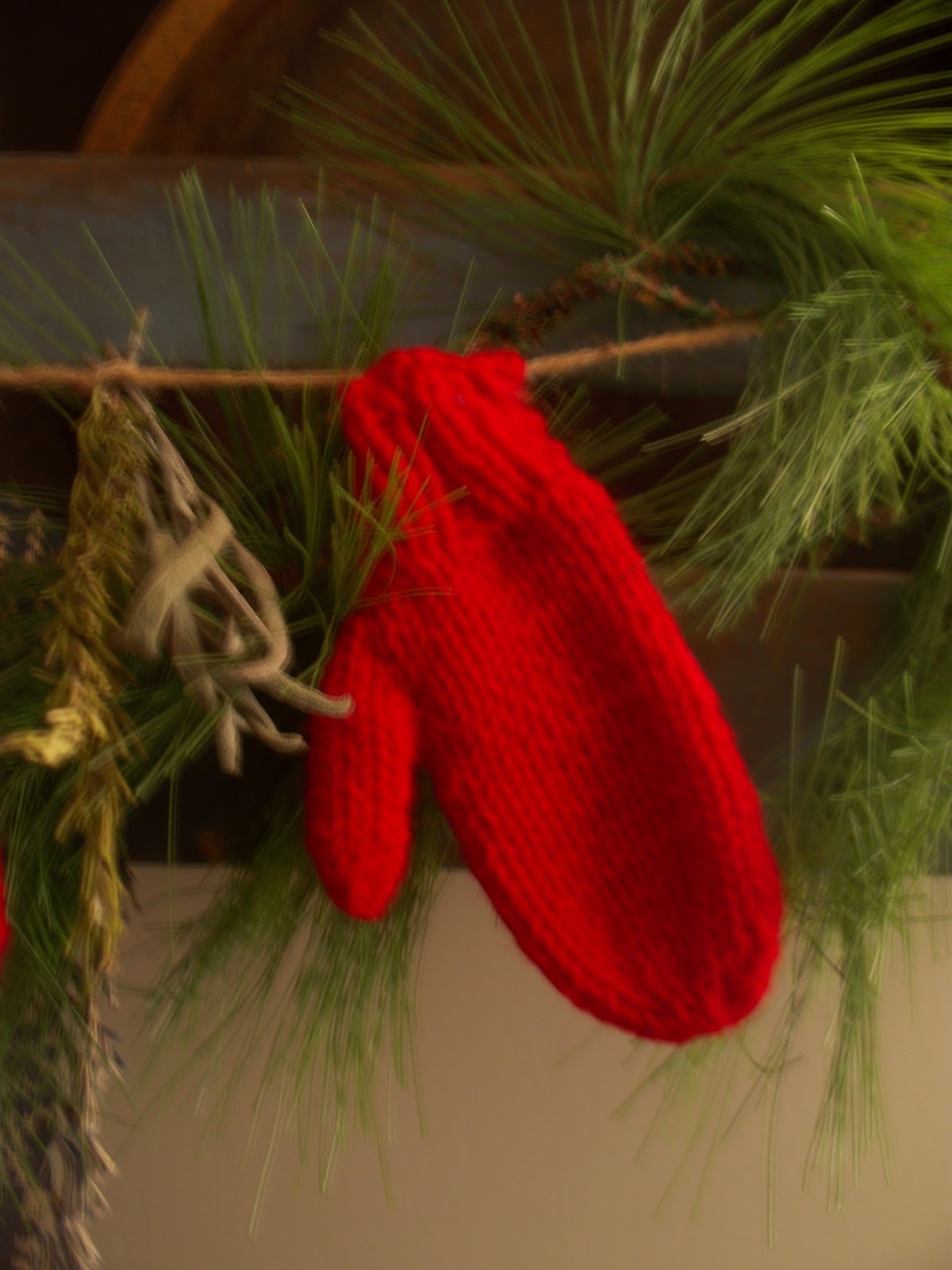 Prims By The Water My Red Mitten Story