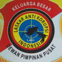 PIN LAKI