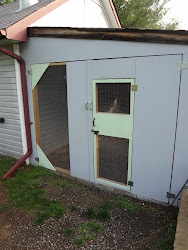 coop chicken painted