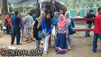 Bergambar bersama manhut, Pijan