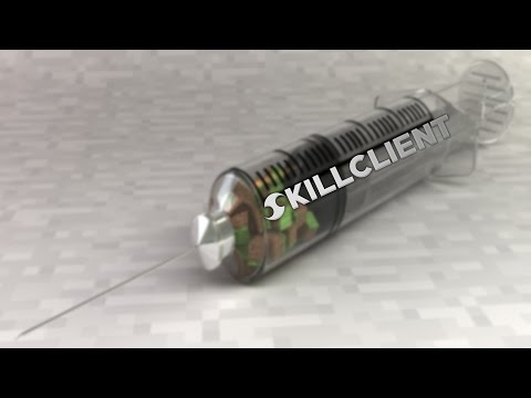 minecraft hacks skillclient