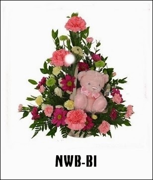 NWB-B1