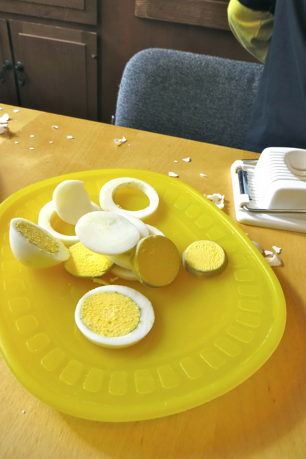 Ms. Sara's Preschool Blog Eggs Dissecting hard boiled & raw eggs