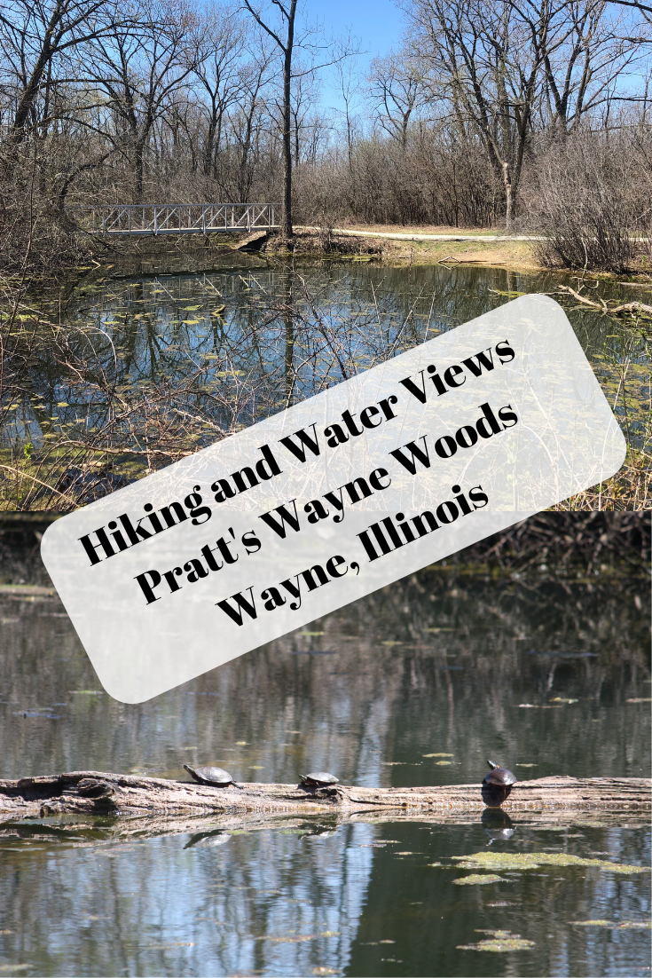 A Little Time and a Keyboard Dazzling Water Views While Hiking at