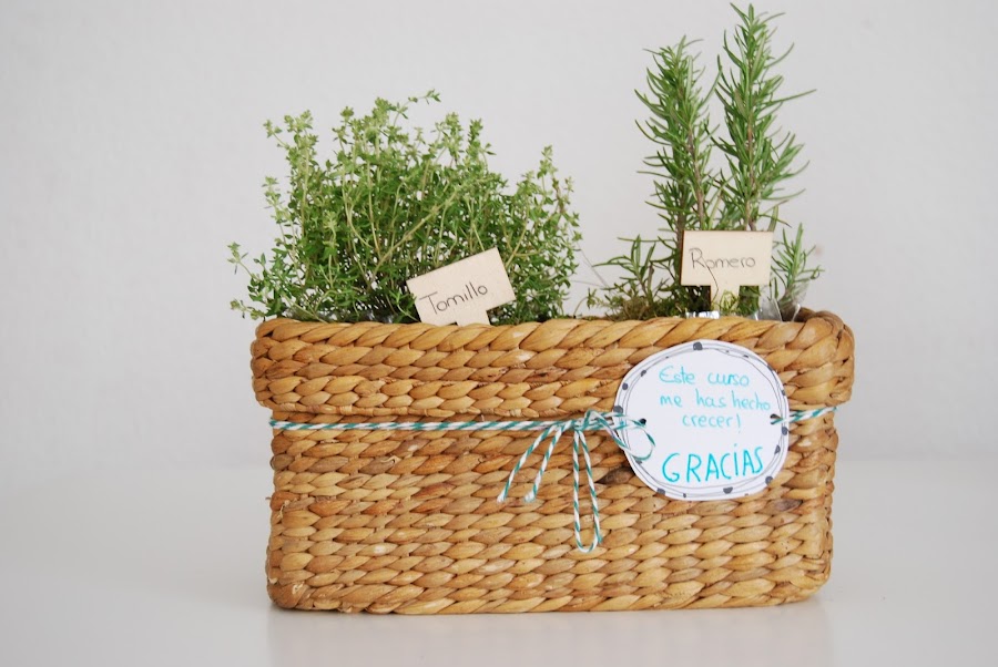Pequeño huerto de aromáticas para hacer con niños y regalar